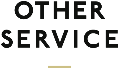 Other SERVICE